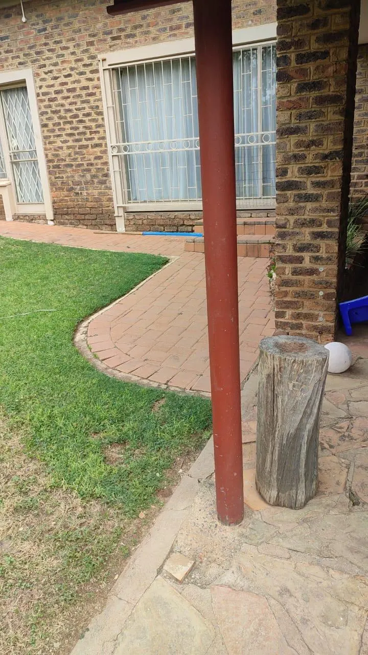 Exterior column and paving